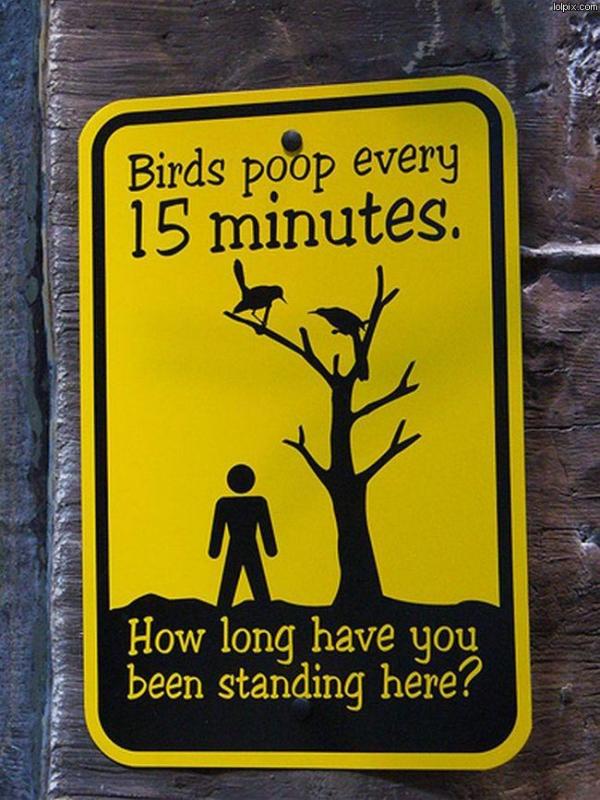 birds pooping sign Birds-10