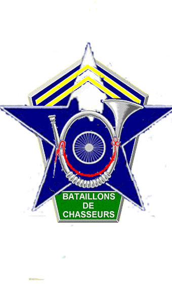 L'insigne Bataillons de Chasseurs - Page 3 Image-11