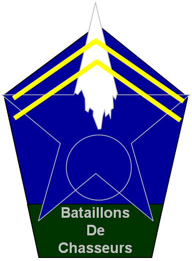 L'insigne Bataillons de Chasseurs - Page 3 Image110