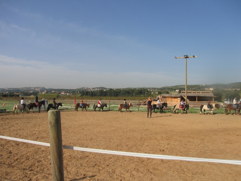 Les cours poneys Img_0010