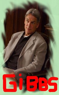 Leroy Jethro Gibbs