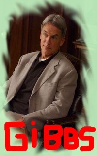 Leroy Jethro Gibbs