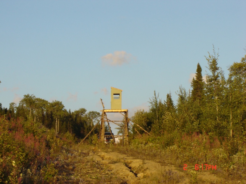 Mon endroit de chasse Nos 1 ( stan - saline - buché ) Dsc01111