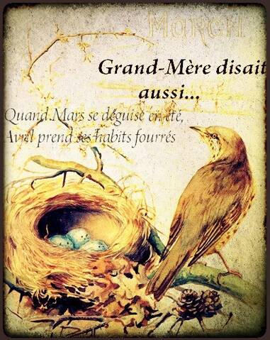 La Citation Du Jour Page 33