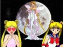 (le net) image Bunny/ Sailor Moon / Princesse Srnity 10957510