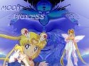 (le net) image Bunny/ Sailor Moon / Princesse Srnity 10963211
