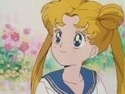 (le net) image Bunny/ Sailor Moon / Princesse Srnity 10964621