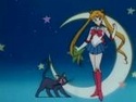(le net) image Bunny/ Sailor Moon / Princesse Srnity 10964622