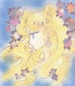 (le net) image Bunny/ Sailor Moon / Princesse Srnity 11075110
