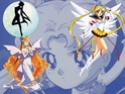 (le net) image Bunny/ Sailor Moon / Princesse Srnity 11317210