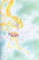 (le net) image Bunny/ Sailor Moon / Princesse Srnity 11354312