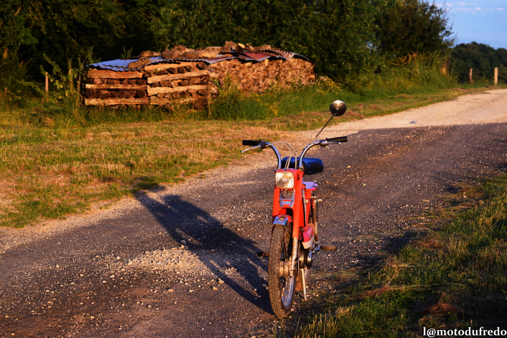 Une 49cc du 7 juillet 1971, ça compte ? - Page 28 Dsc_1161