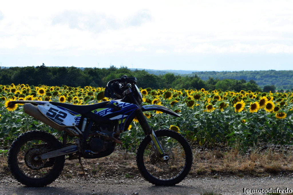 Changement subtil (Sherco) dans mon profil !!! - Page 35 Dsc_3833