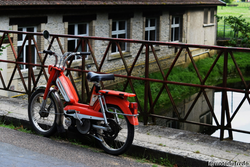 Une 49cc du 7 juillet 1971, ça compte ? - Page 25 Dsc_7263