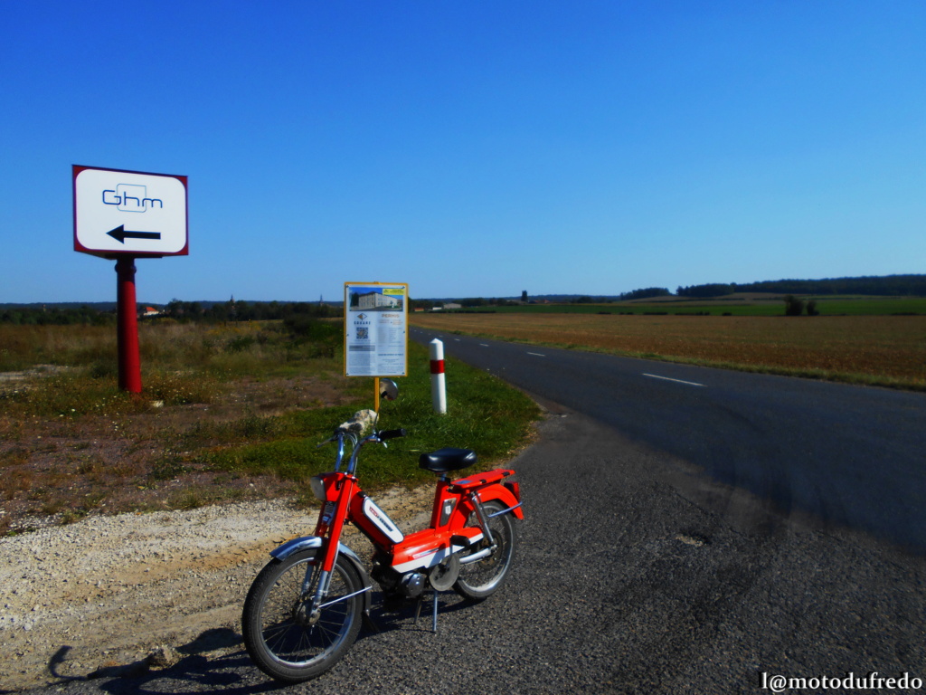 Une 49cc du 7 juillet 1971, ça compte ? - Page 26 Dsc_7483