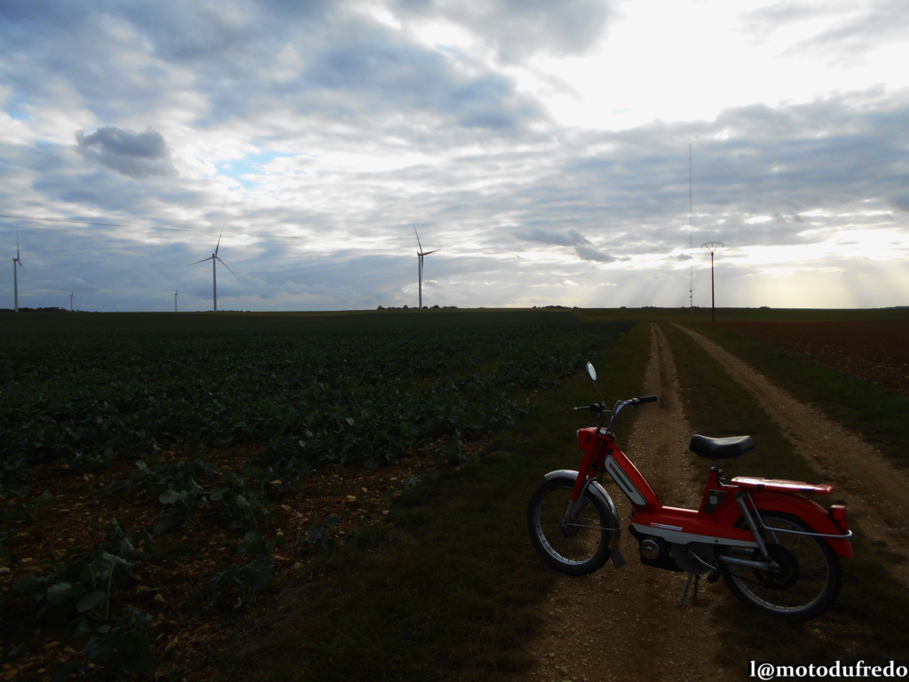 Une 49cc du 7 juillet 1971, ça compte ? - Page 26 Dsc_7579