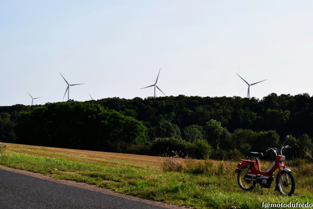 Une 49cc du 7 juillet 1971, ça compte ? - Page 28 Dsc_7866