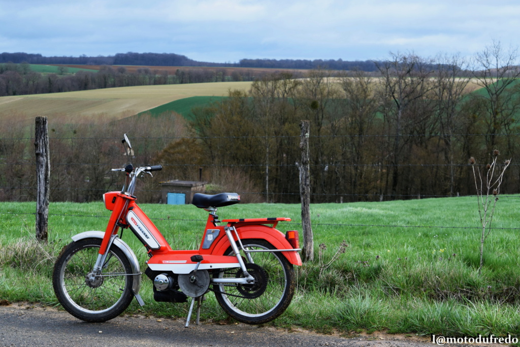 Une 49cc du 7 juillet 1971, ça compte ? - Page 25 Dsc_8331