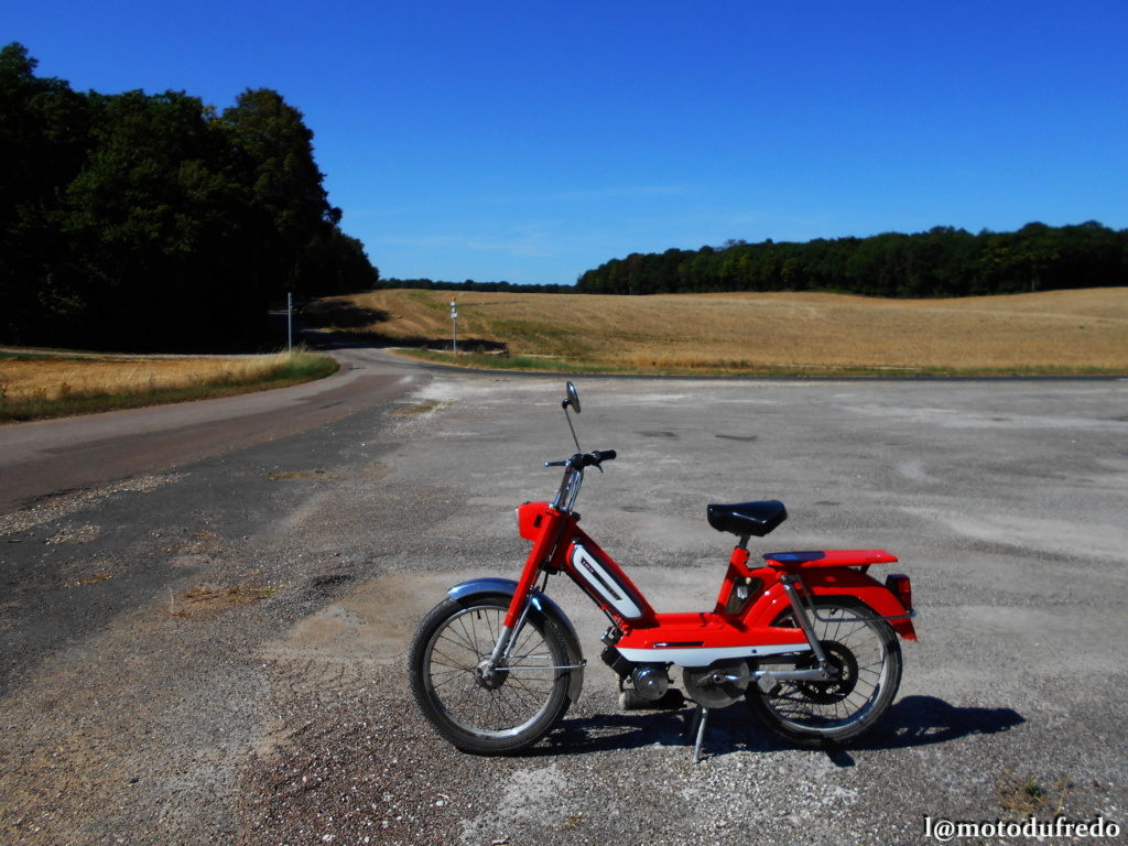 Une 49cc du 7 juillet 1971, ça compte ? - Page 21 Dsc_9131