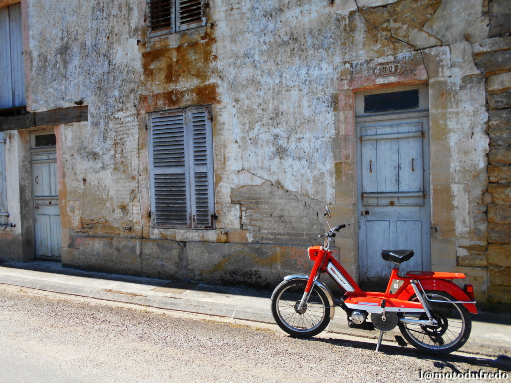 Une 49cc du 7 juillet 1971, ça compte ? - Page 21 Dsc_9150