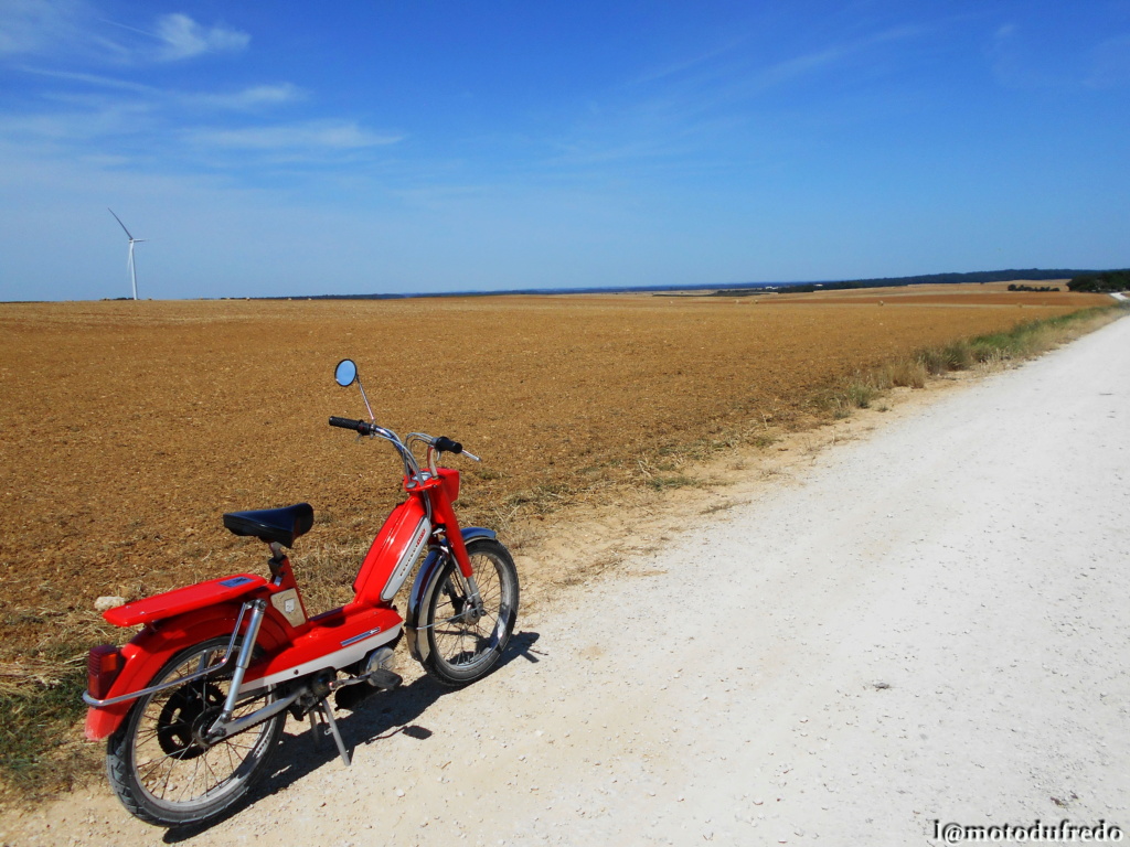 Une 49cc du 7 juillet 1971, ça compte ? - Page 21 Dsc_9226