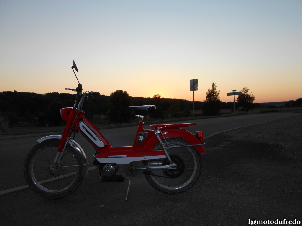 Une 49cc du 7 juillet 1971, ça compte ? - Page 21 Dsc_9233