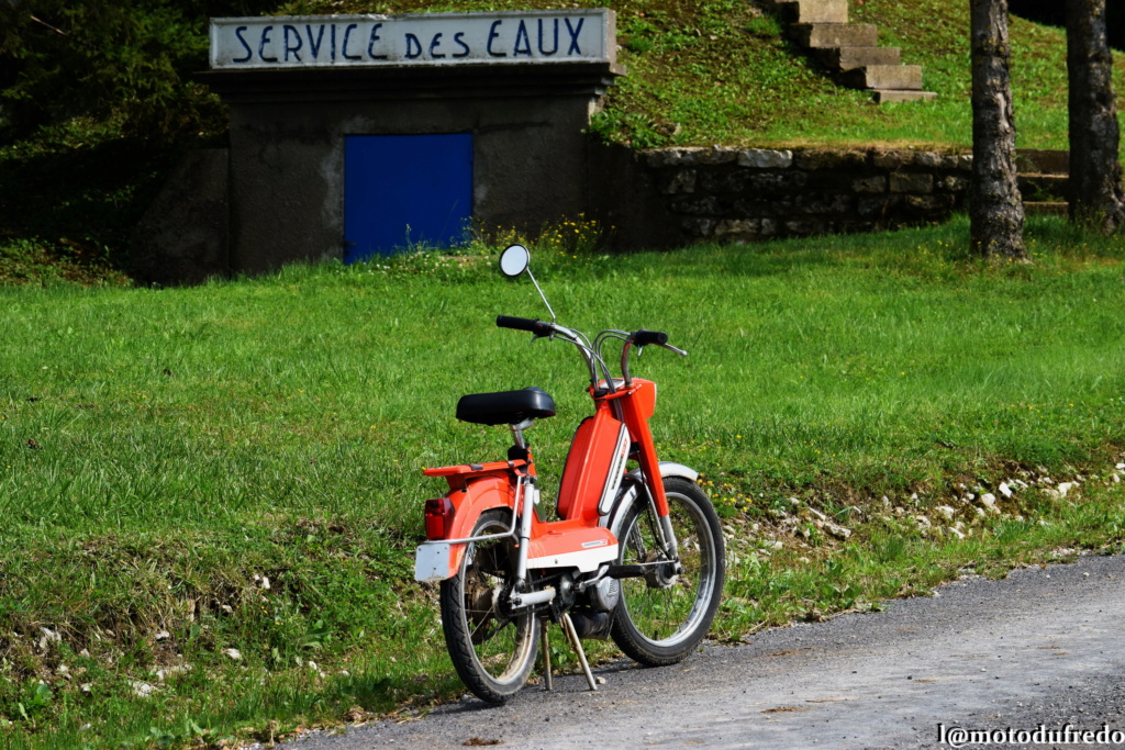 Une 49cc du 7 juillet 1971, ça compte ? - Page 28 Dscn5362