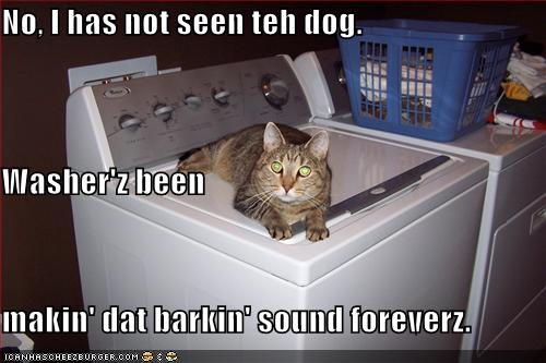 LOLcats pwn you. Funny-14
