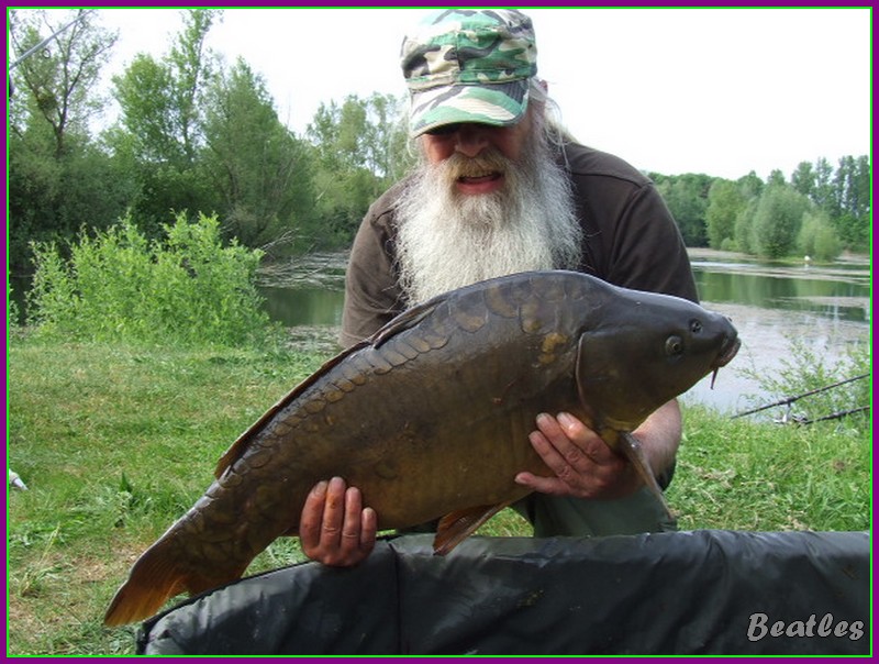 le barbu aux herbues Sans_t83