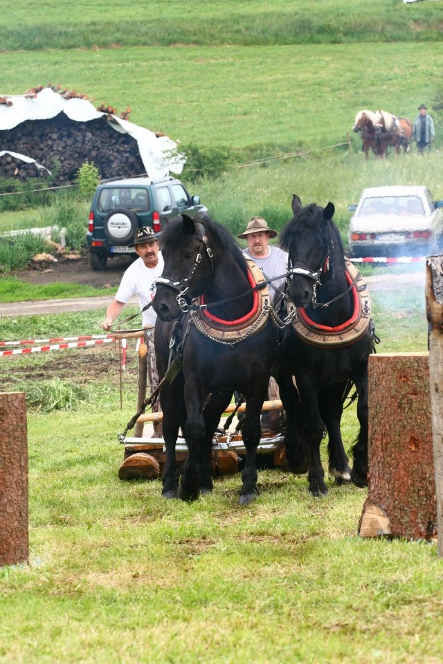 4. Pferdetag in Zwiesel Img_7612