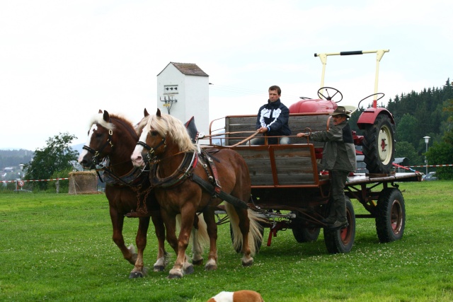 Zugpferdetreffen Poschetsried Img_8017