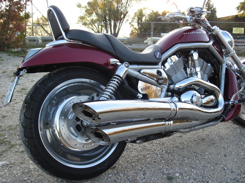 V-rod VRSCA du p'tit Suisse 511