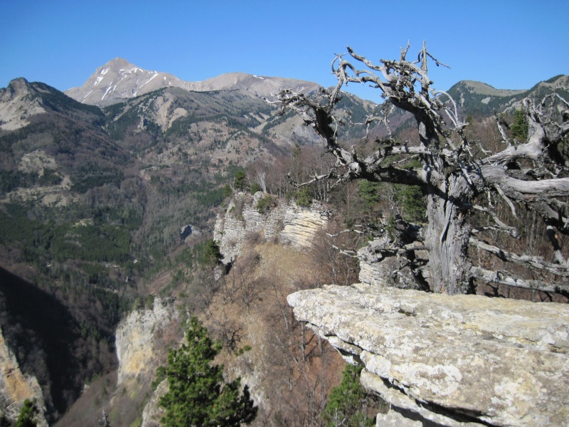 Rando des 11 cols...Haut Buëch . Cheval20