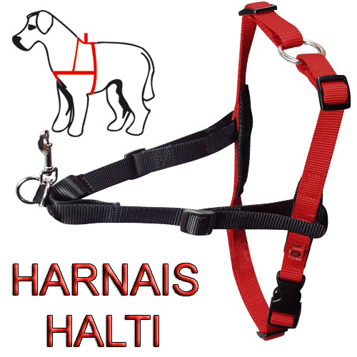 harnais - Harnais Halti et Easy Walk: différences? Harnai11