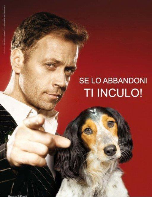 Une campagne (italienne) contre l'abandon des chiens 24996810