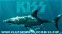 SHARK ATTACK  M_kiss10