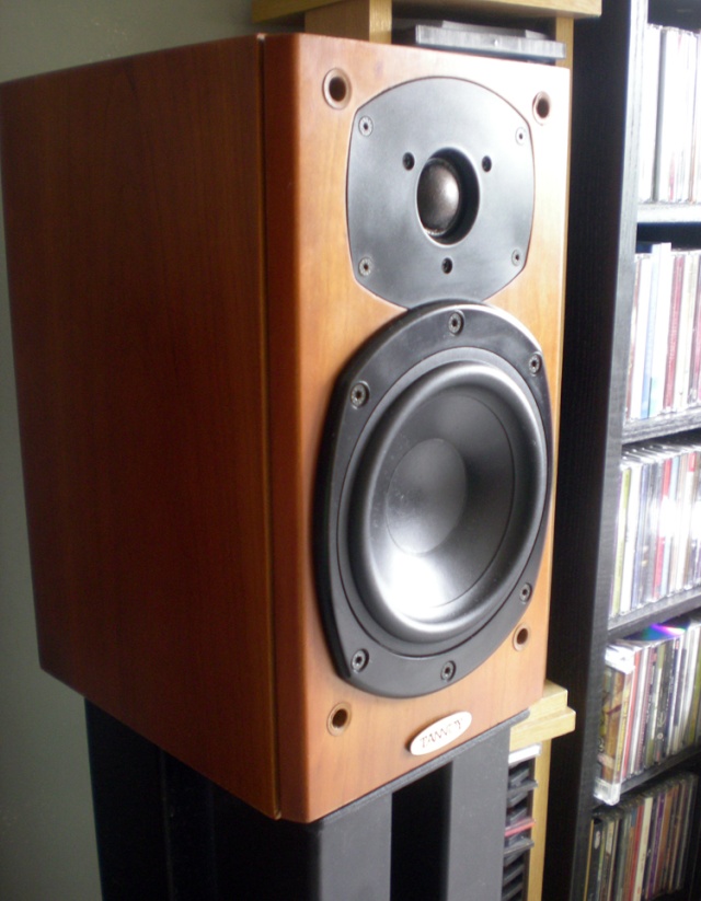 Tannoy Revolution R1 (SOLD) Dscn4010