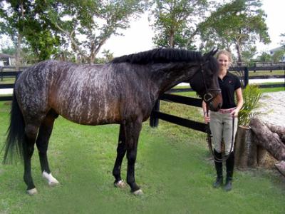 Robe de chevaux rare shop