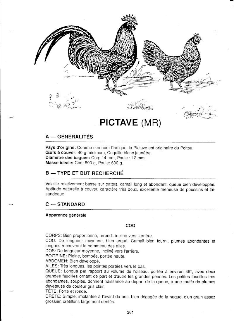 LA PICTAVE Pictav11