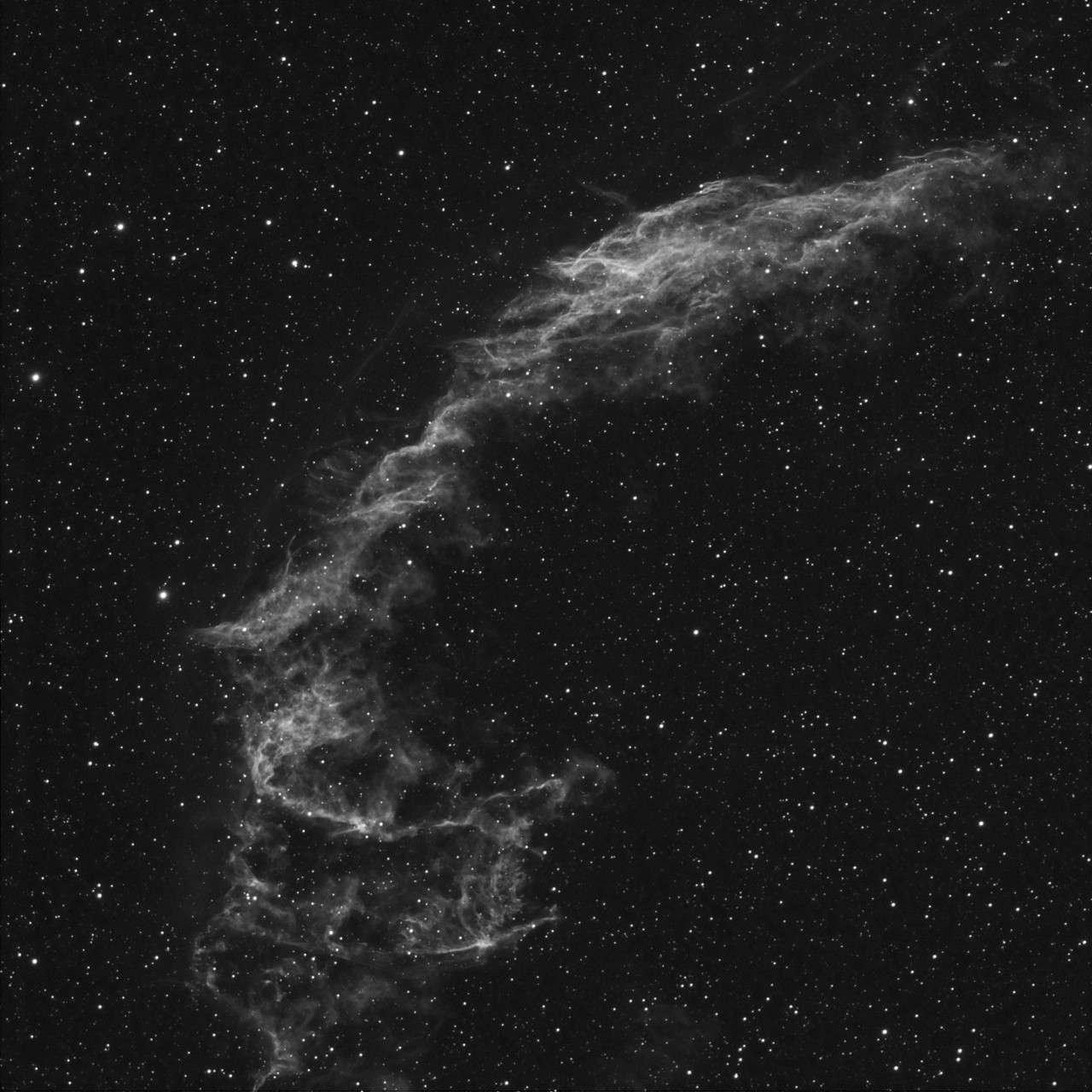 NGC6992 depuis l'observatoire de SIRENE Ngc69913