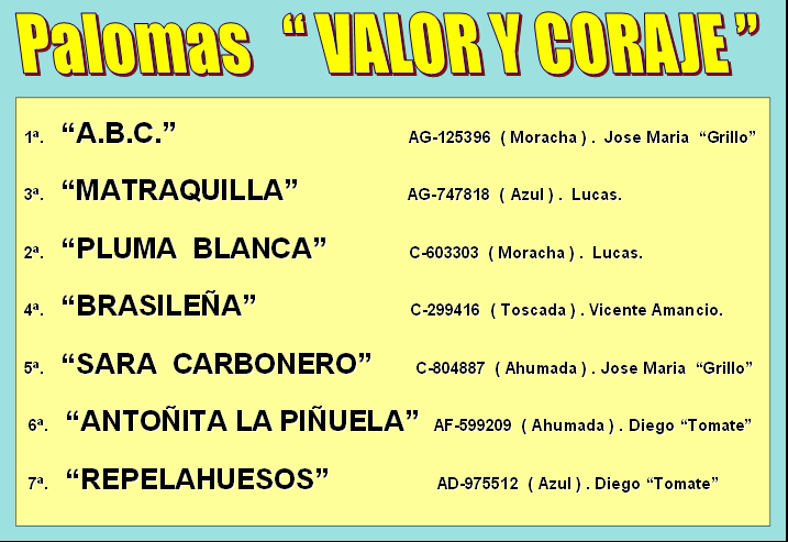 VI Concurso Especial Valor y Coraje (Club L´Alba) Paloma10