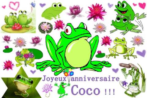 Joyeux Anniversaire Coco Joyeux Anniversaire Coco