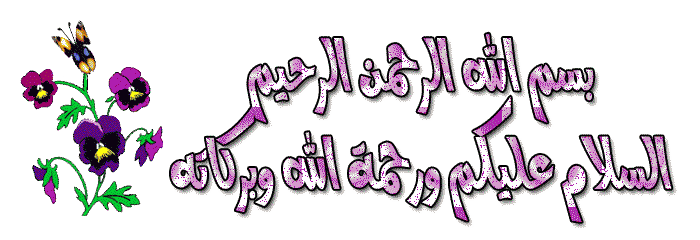 برنامج ياهوو ( yahoo ) للمحادثه عبر الإنترنت ( عربي + تنصيب صامت ) 0_2210