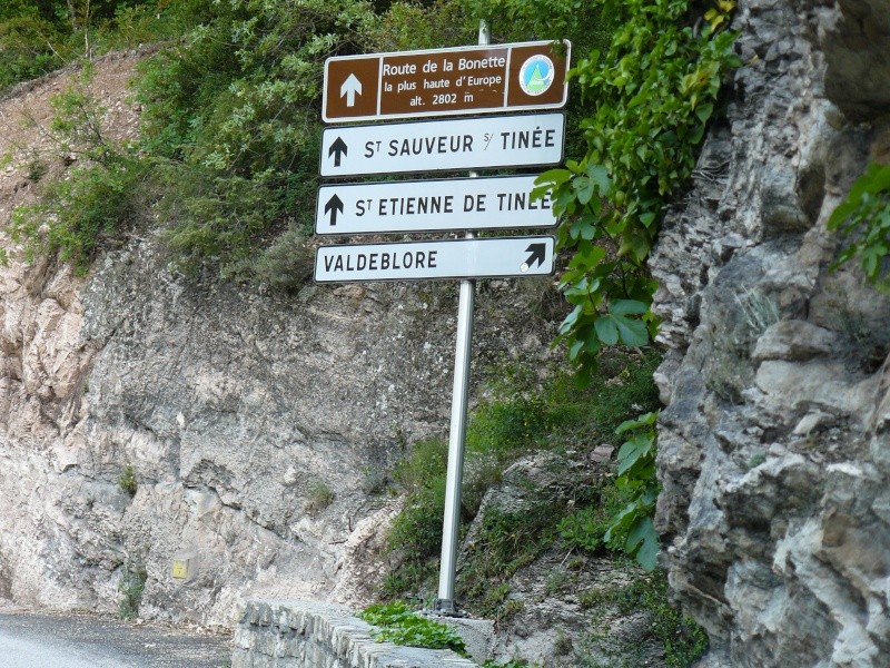 Promenade de ce matin, le col de La Bonette (06) P1000746