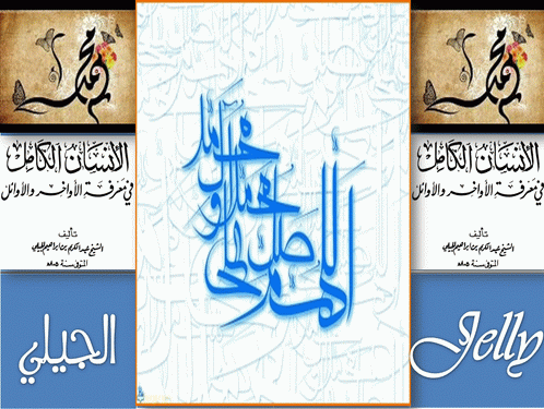 كتاب : النادرات العينية : الإمام عبد الكريم الجيلي ـ الدكتور يوسف زيدان	 Jelly11