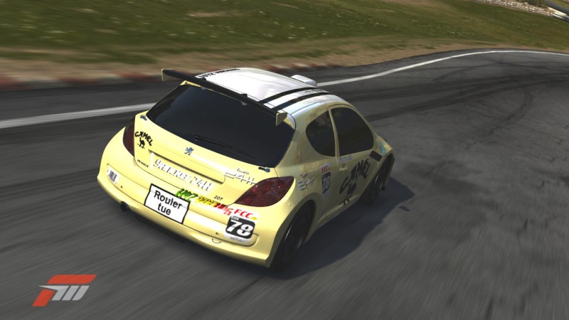 MANCHE 3 - Peugeot 207 S2000 - Courses de Rally Forza136
