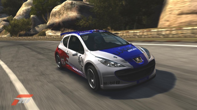MANCHE 3 - Peugeot 207 S2000 - Courses de Rally - Page 2 Forza141