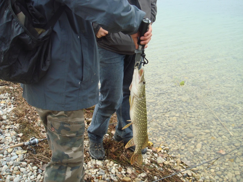 La Fishing Urban Kupp sous la pluie et dans le froid extrême!! - Page 2 Dsc04237