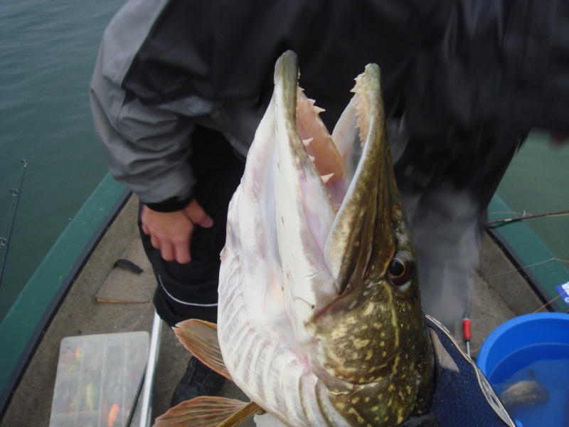 Tony, Corbeau et Rocco sur un bass-boat, devinez la suite!!!! Dsc04418