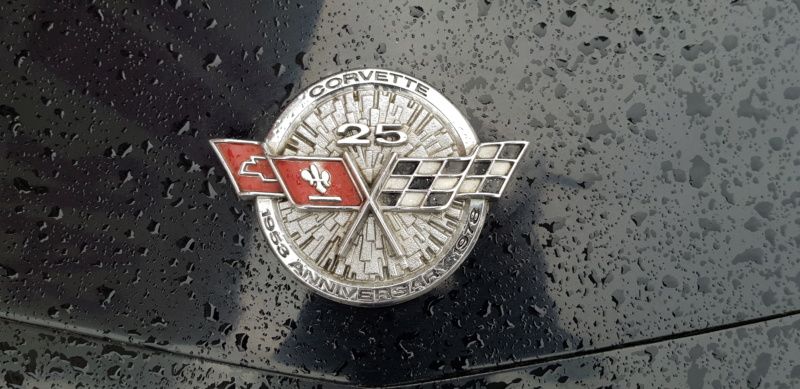Corvette & Friends 14.7.2019 im Technikmuseum Speyer 20191070